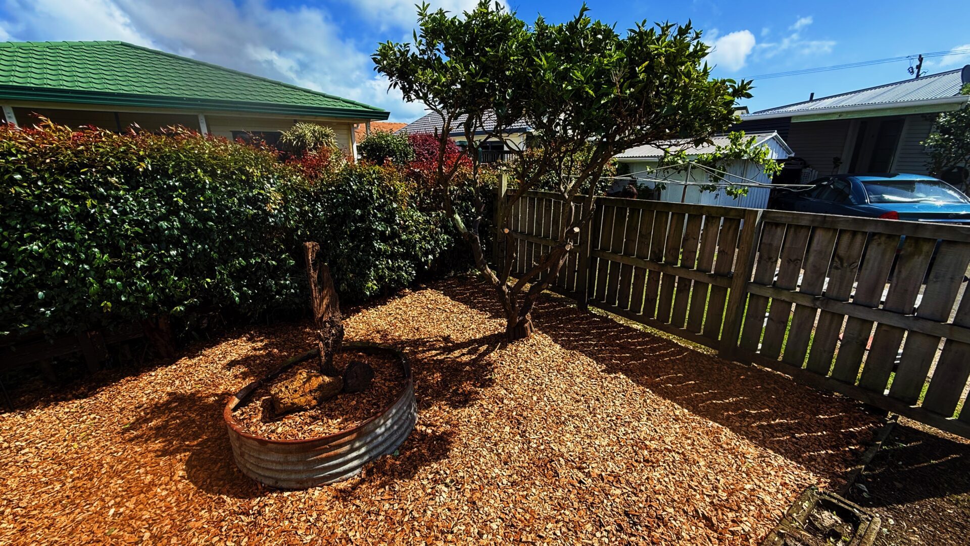 167886017__1760412942-83054-IMG8218VSCO