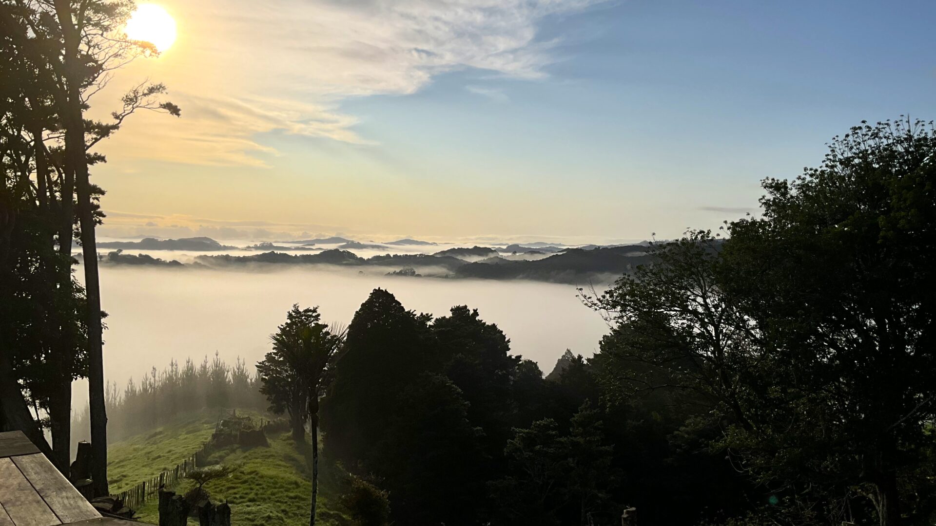 178398880__1764815359-55652-1177322141729724097-127518-IMG0350