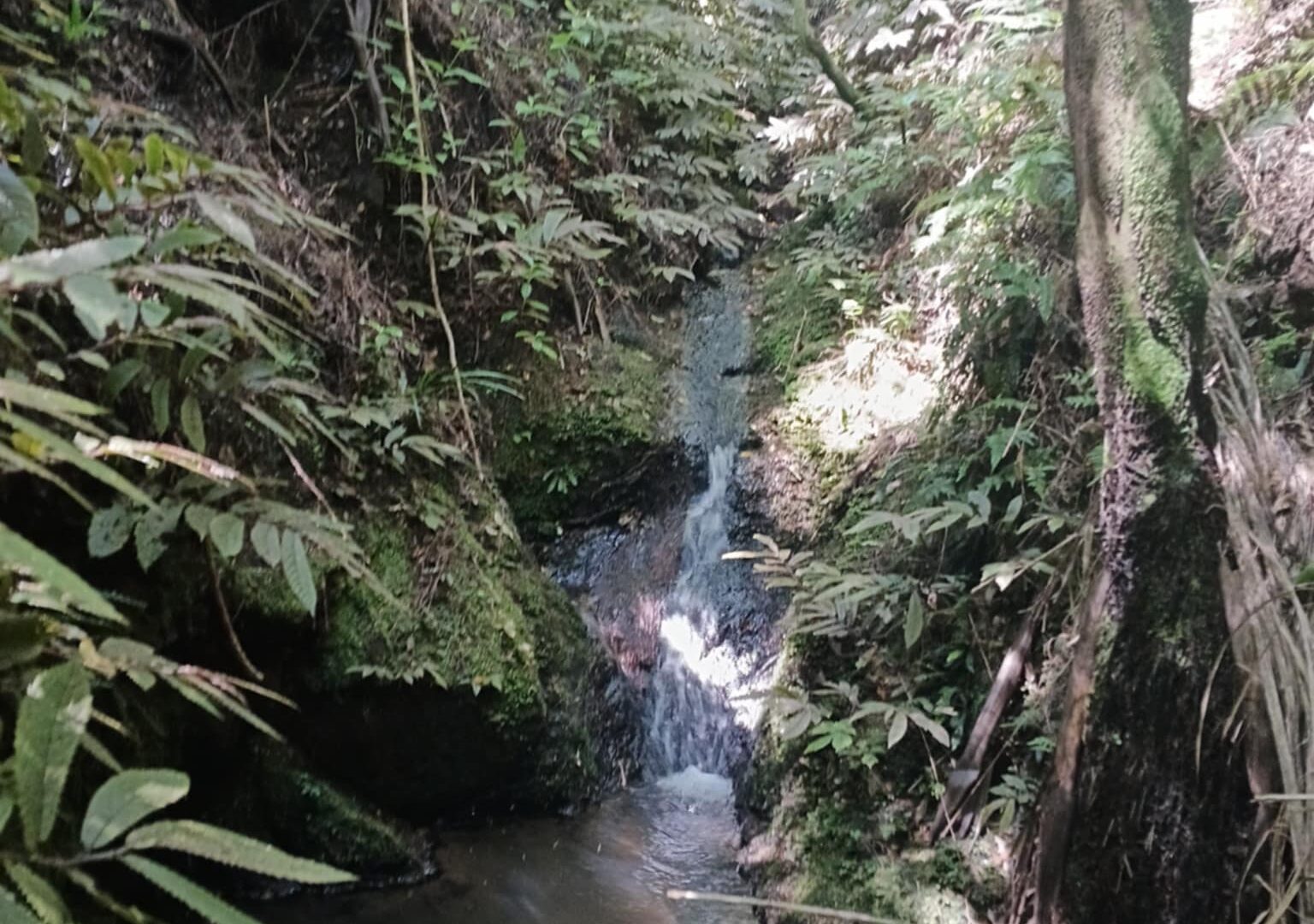 179952200__1765757011-33144-Messengercreation358D0ABC-D246-45F7-9016-6D579F0E06ED