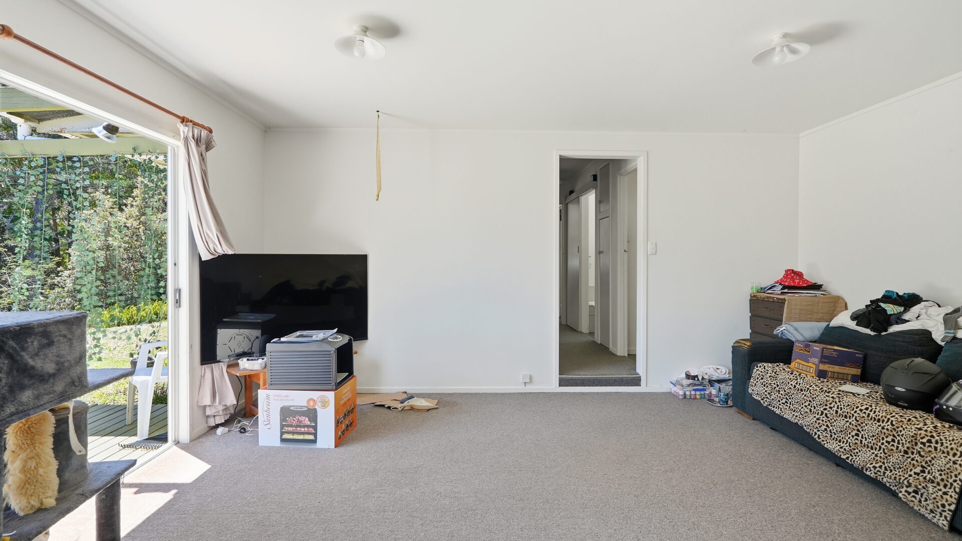 185249647__1770068623-11608-29