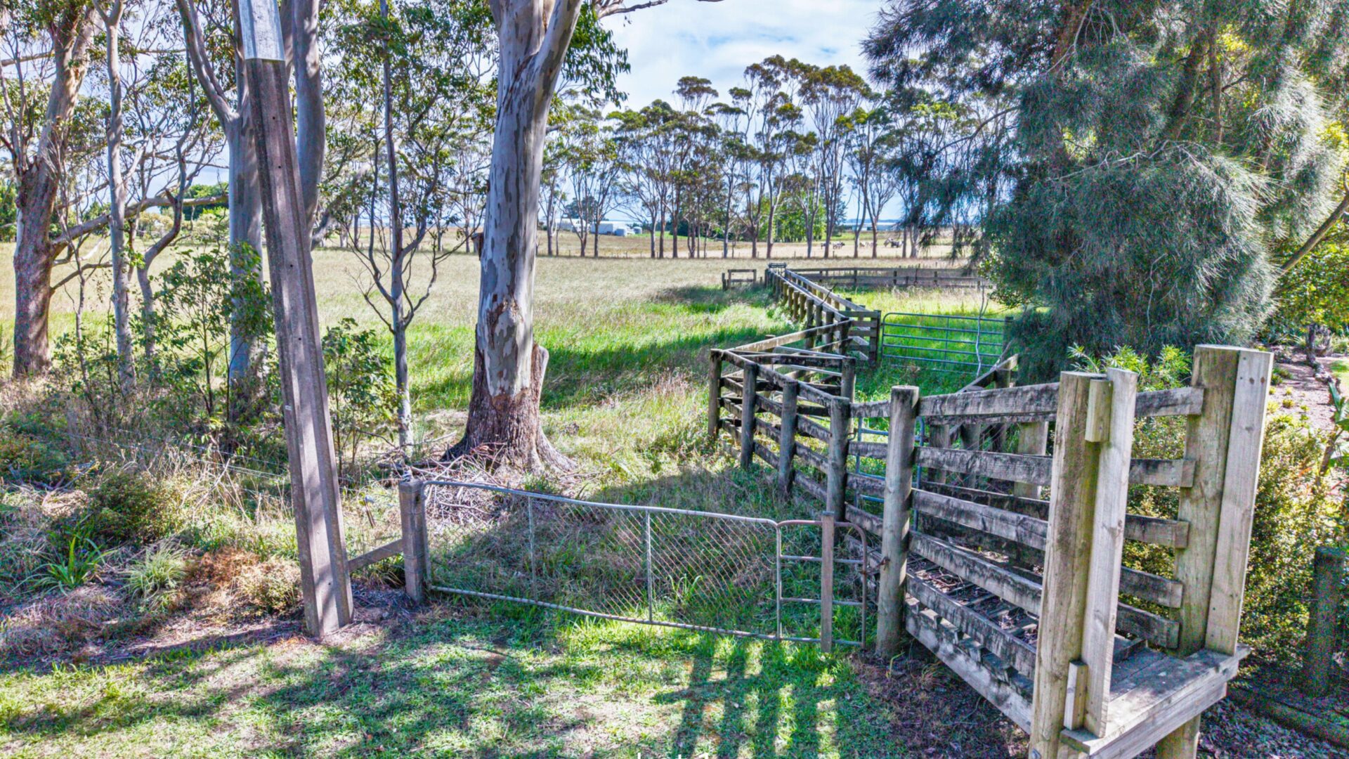 187864753__1771460947-231817-8