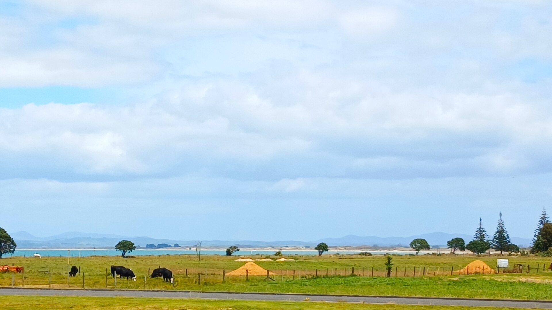 122656982__1732072048-168116-deck