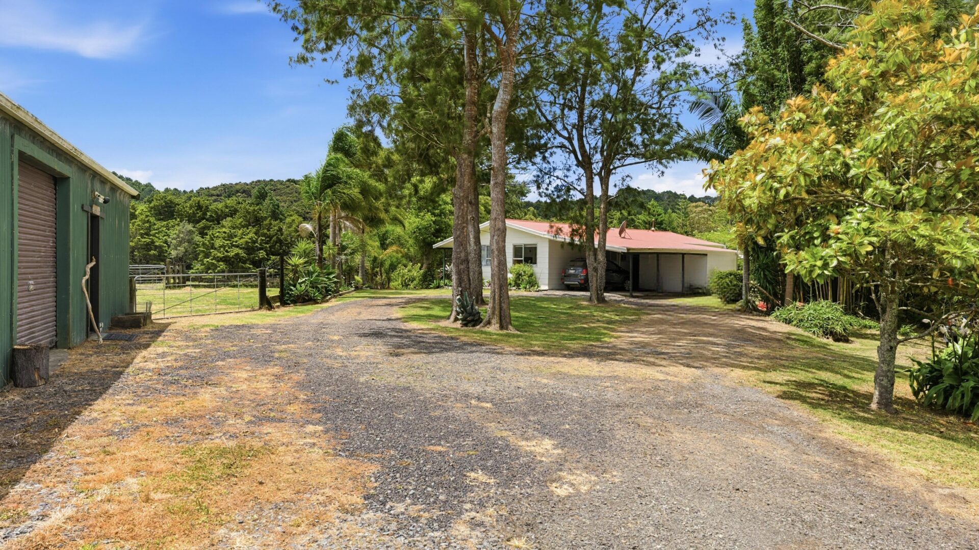 181159268__1766547412-60577-5