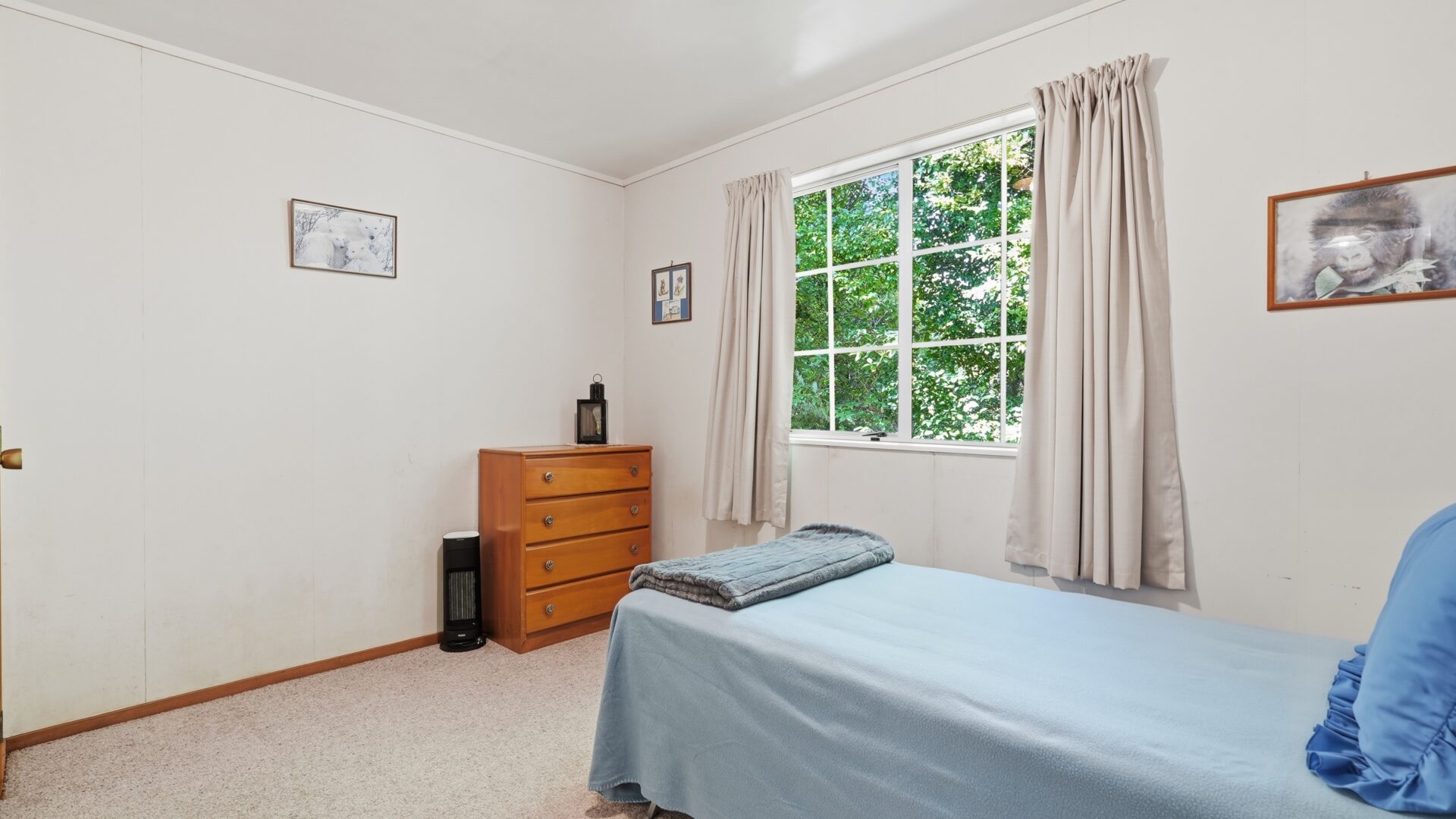 189791164__1772485592-20046-7401SH1Kaitaia022