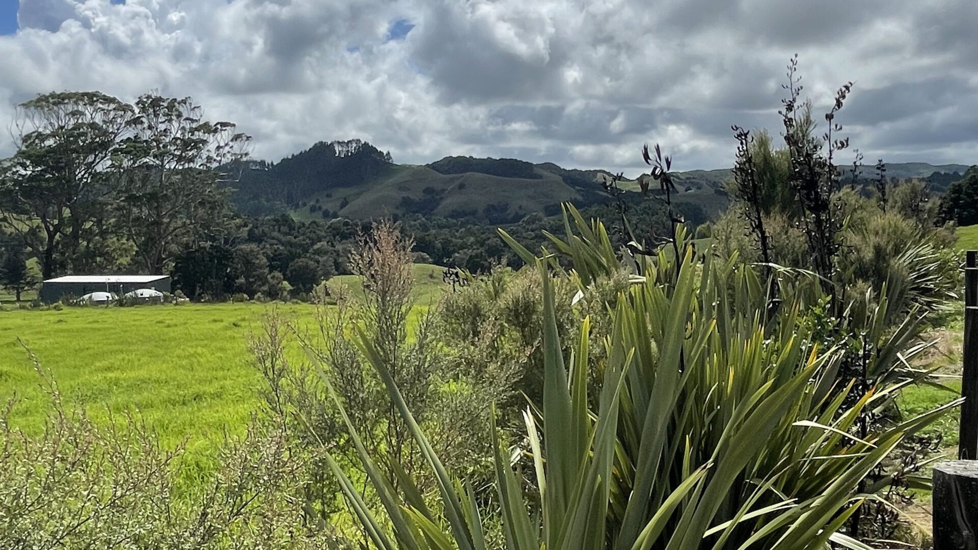 190125733__1772583489-48381-IMG2604