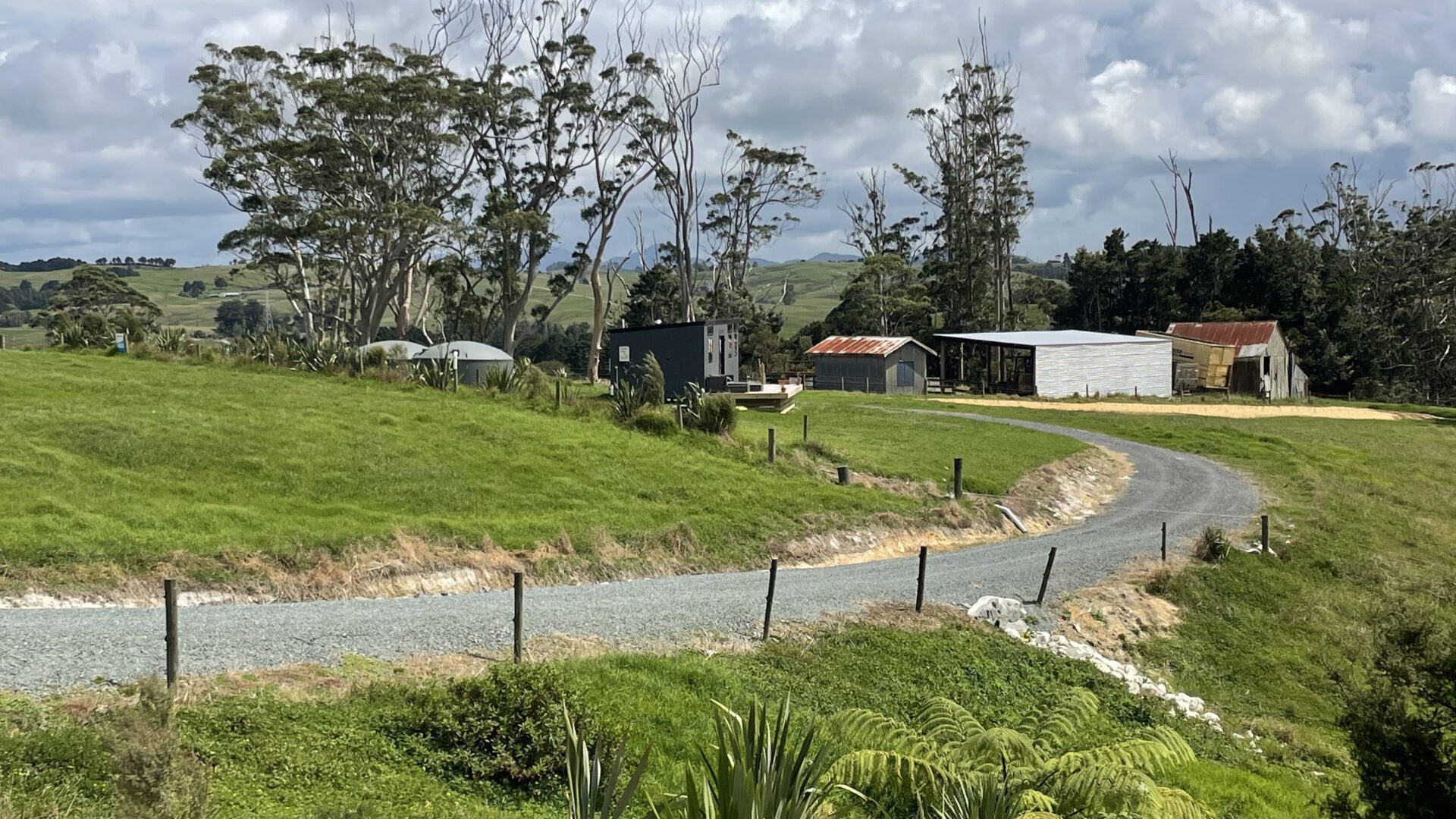 190125735__1772583492-48061-IMG2606