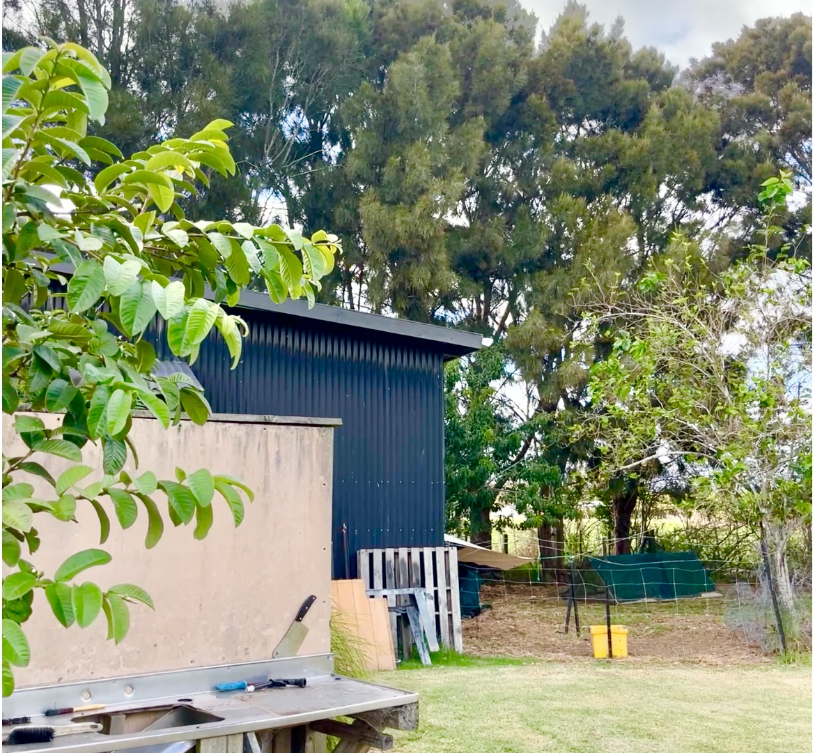 190405469__1772676280-51876-IMG8651