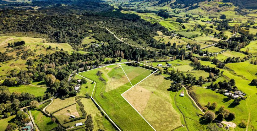 Introducing The Opportunity