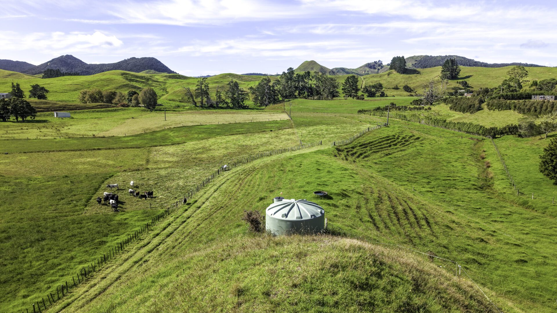 190879720__1772915174-1772915130