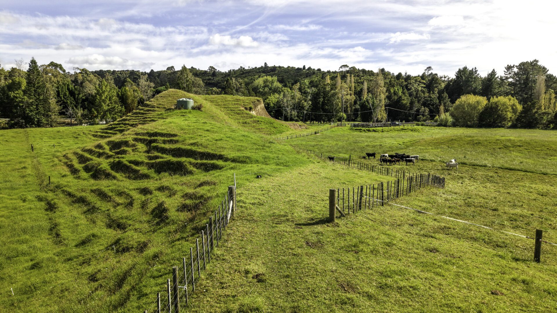 190879744__1772915309-1772915156