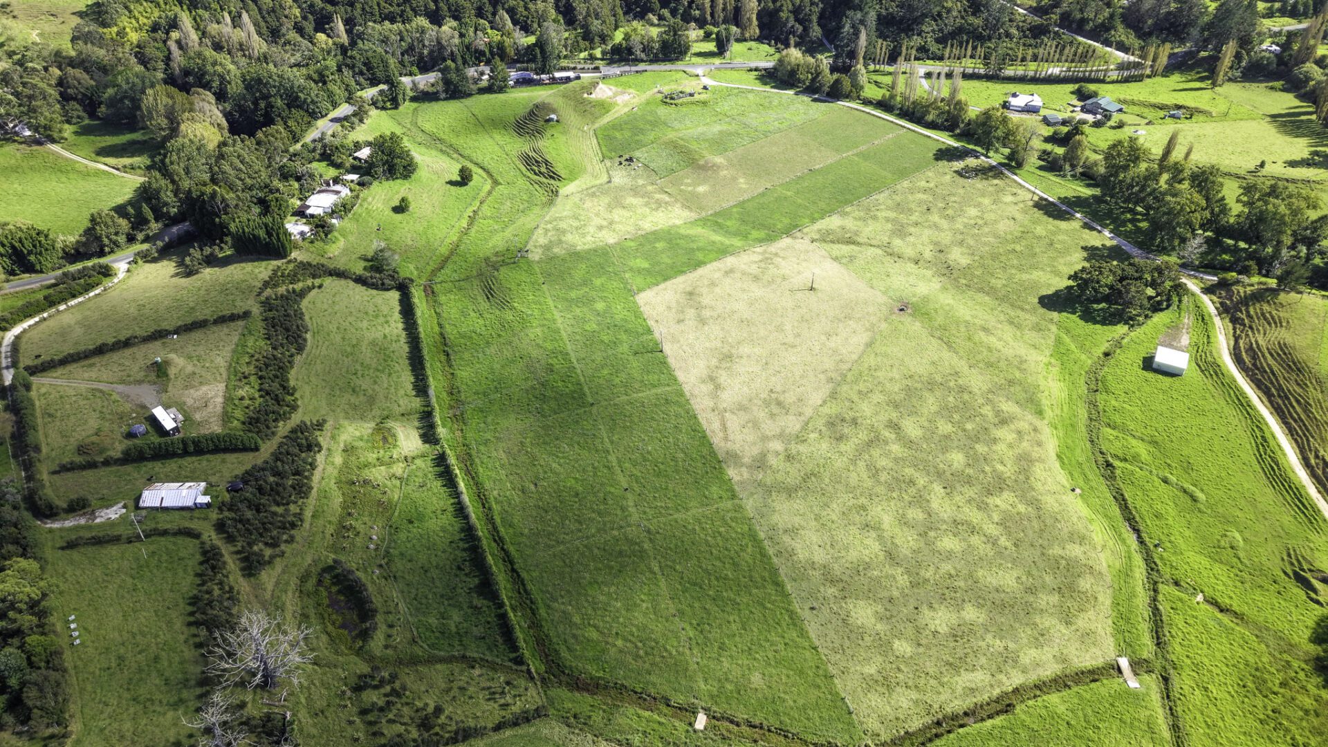 190879747__1772915313-1772915156