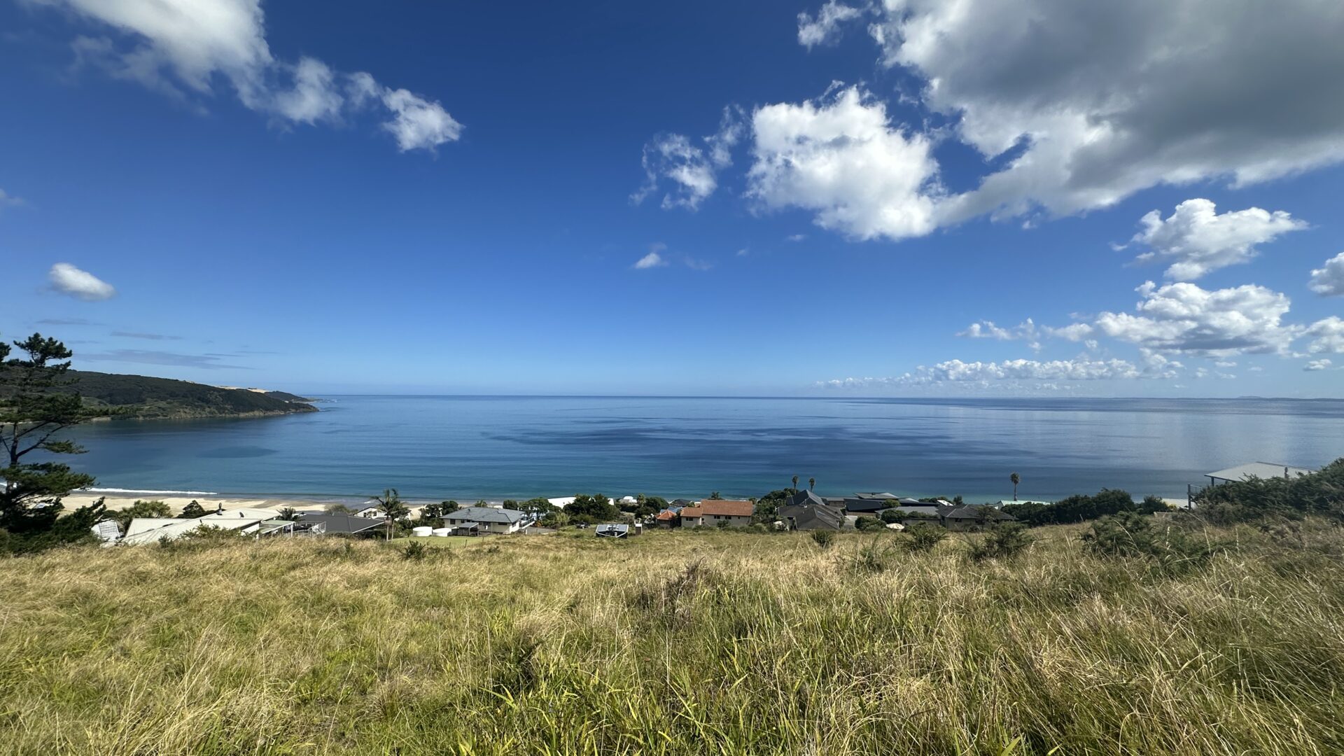 137536189__1740695865-125279-IMG0715