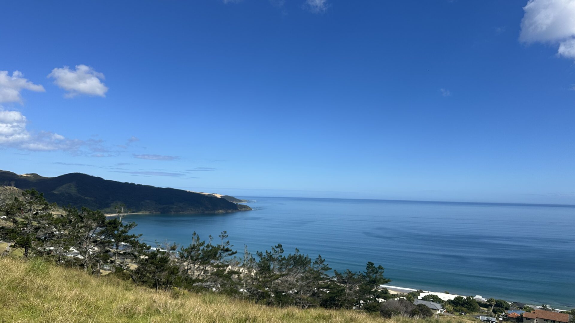 137536195__1740695868-125485-IMG0714