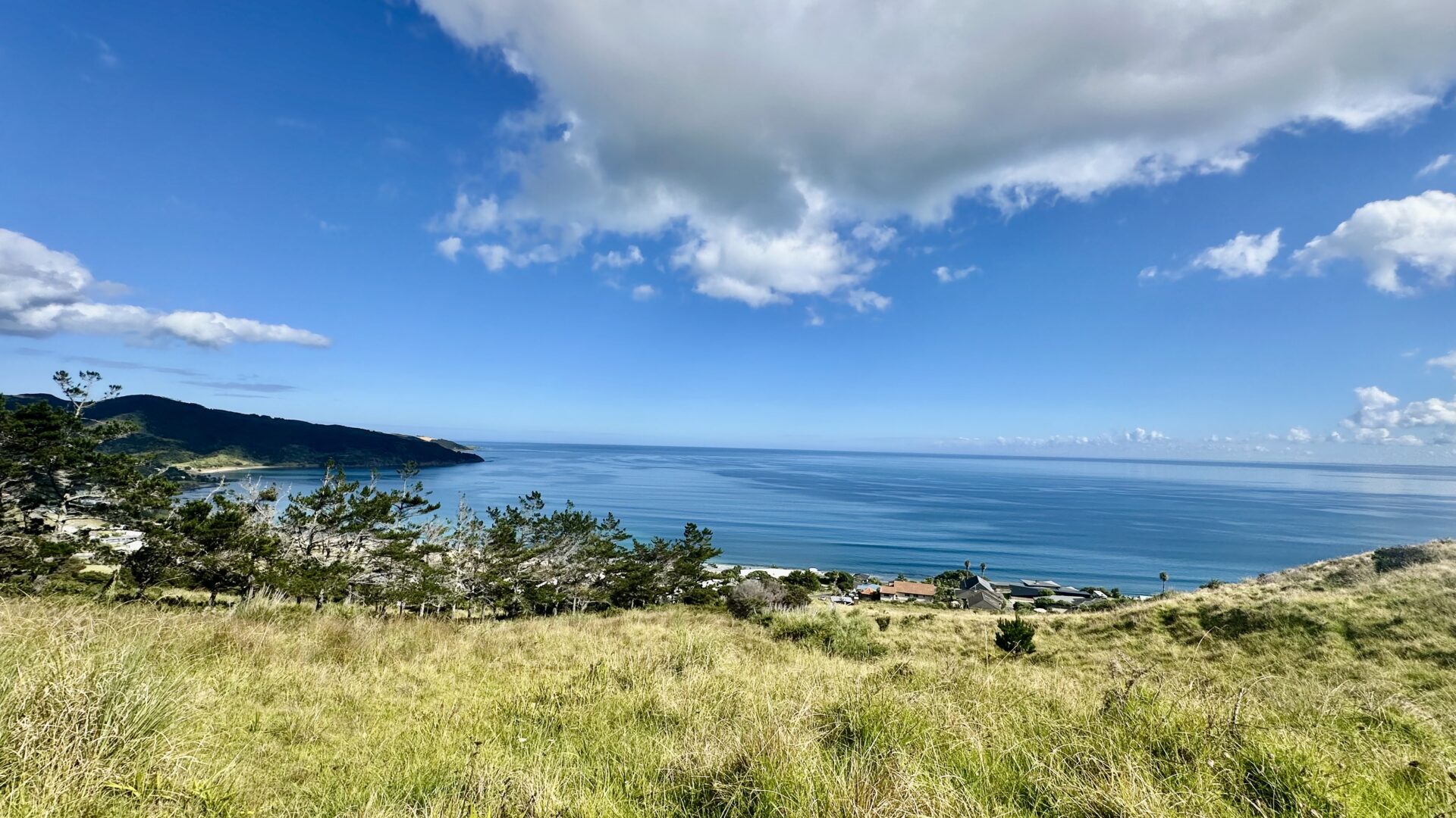 137536197__1740695872-113730-IMG0709