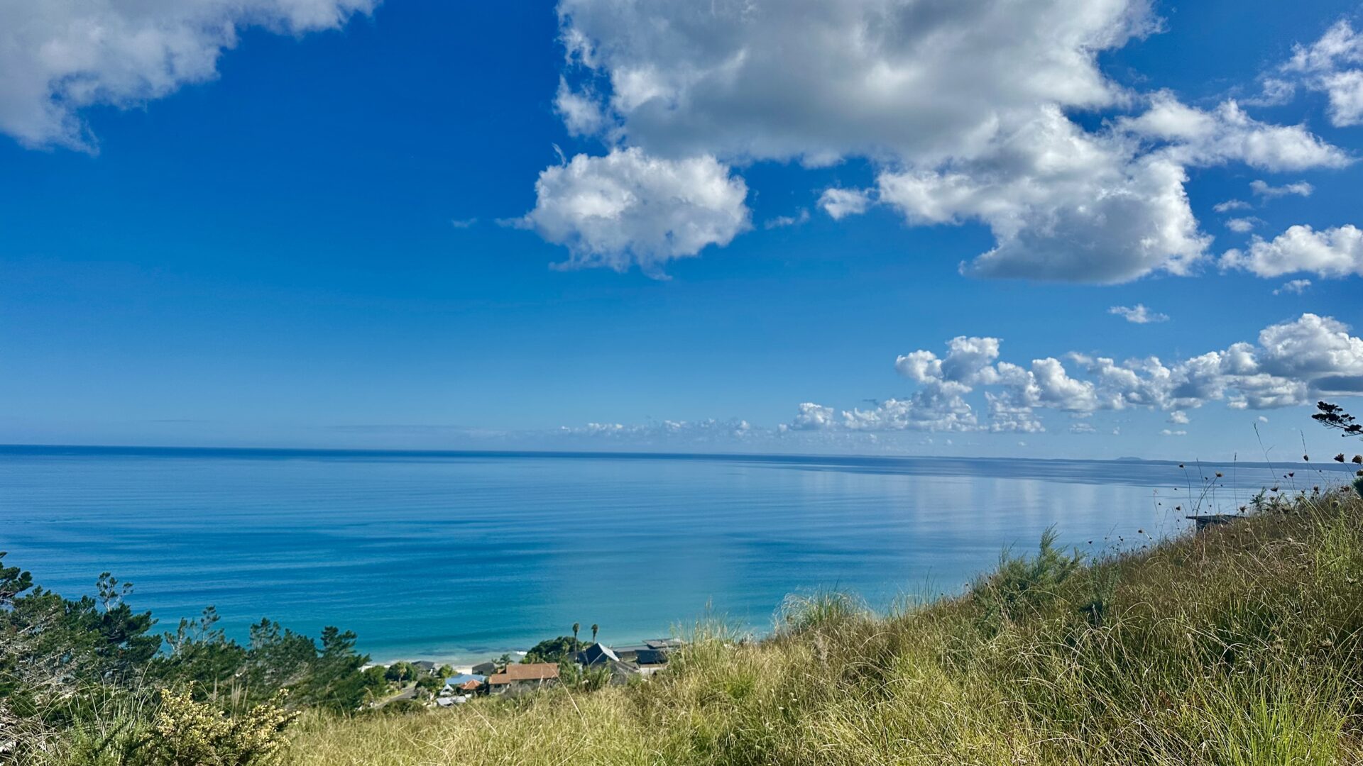 137536199__1740695876-125084-IMG0712