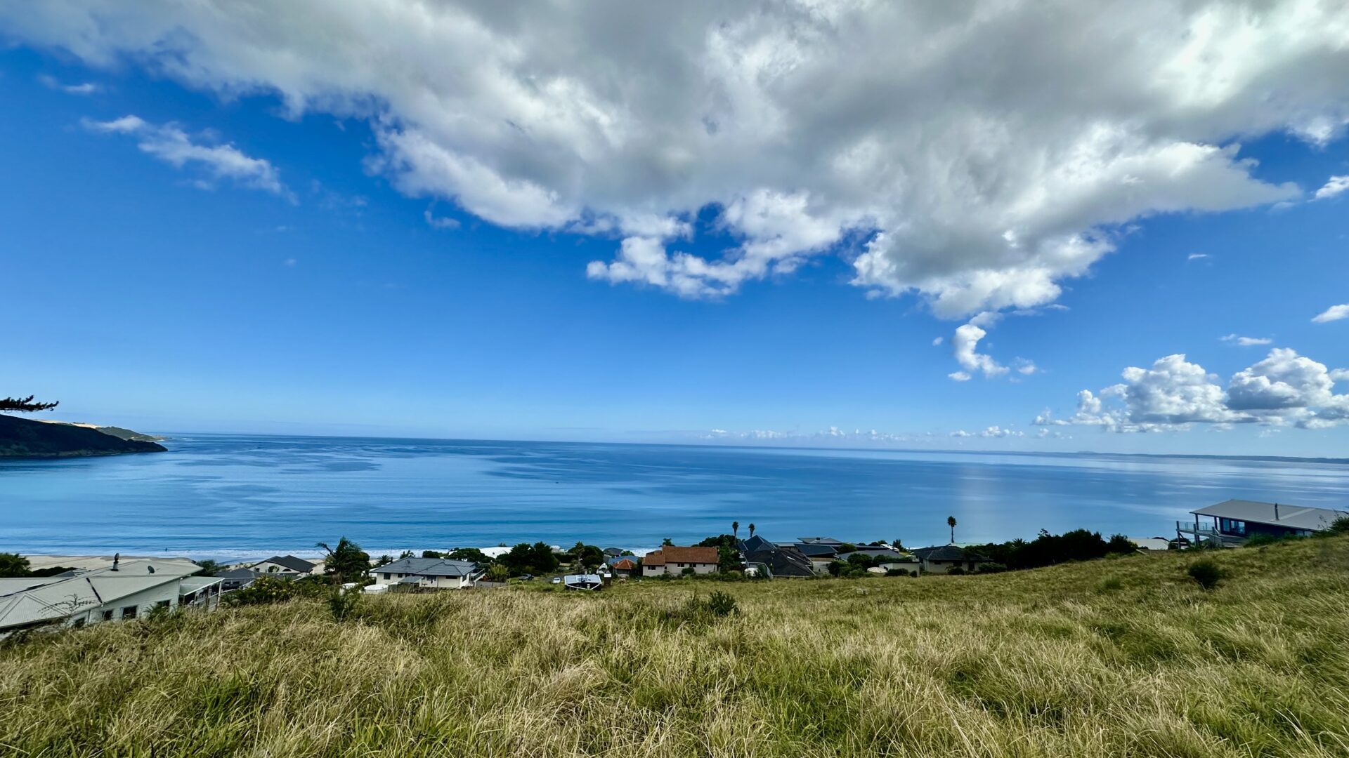 137536201__1740695879-125275-IMG0704