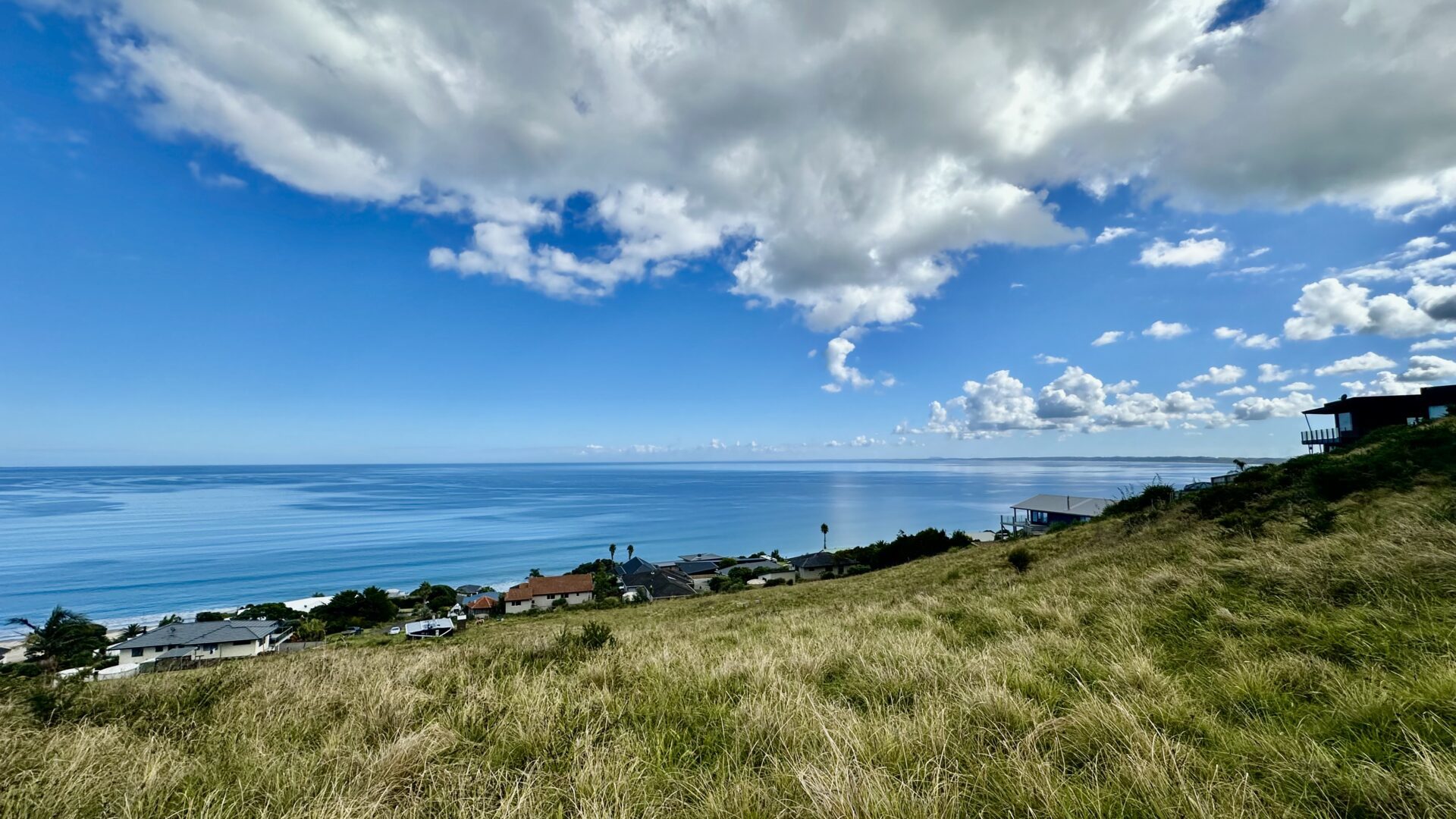 137536203__1740695882-113802-IMG0706