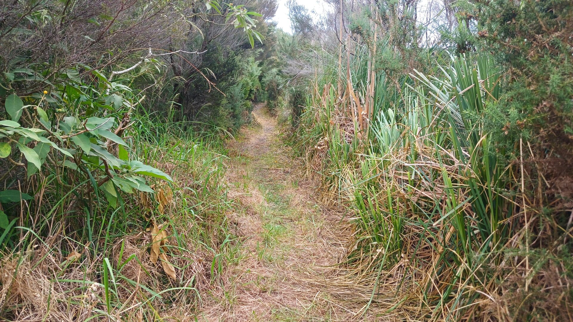 181496802__1767678638-78075-3updated