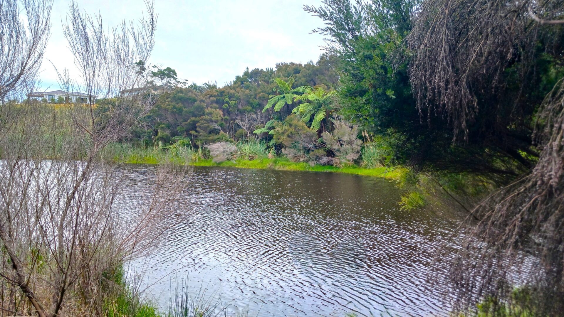 181496804__1767678640-78054-5updated