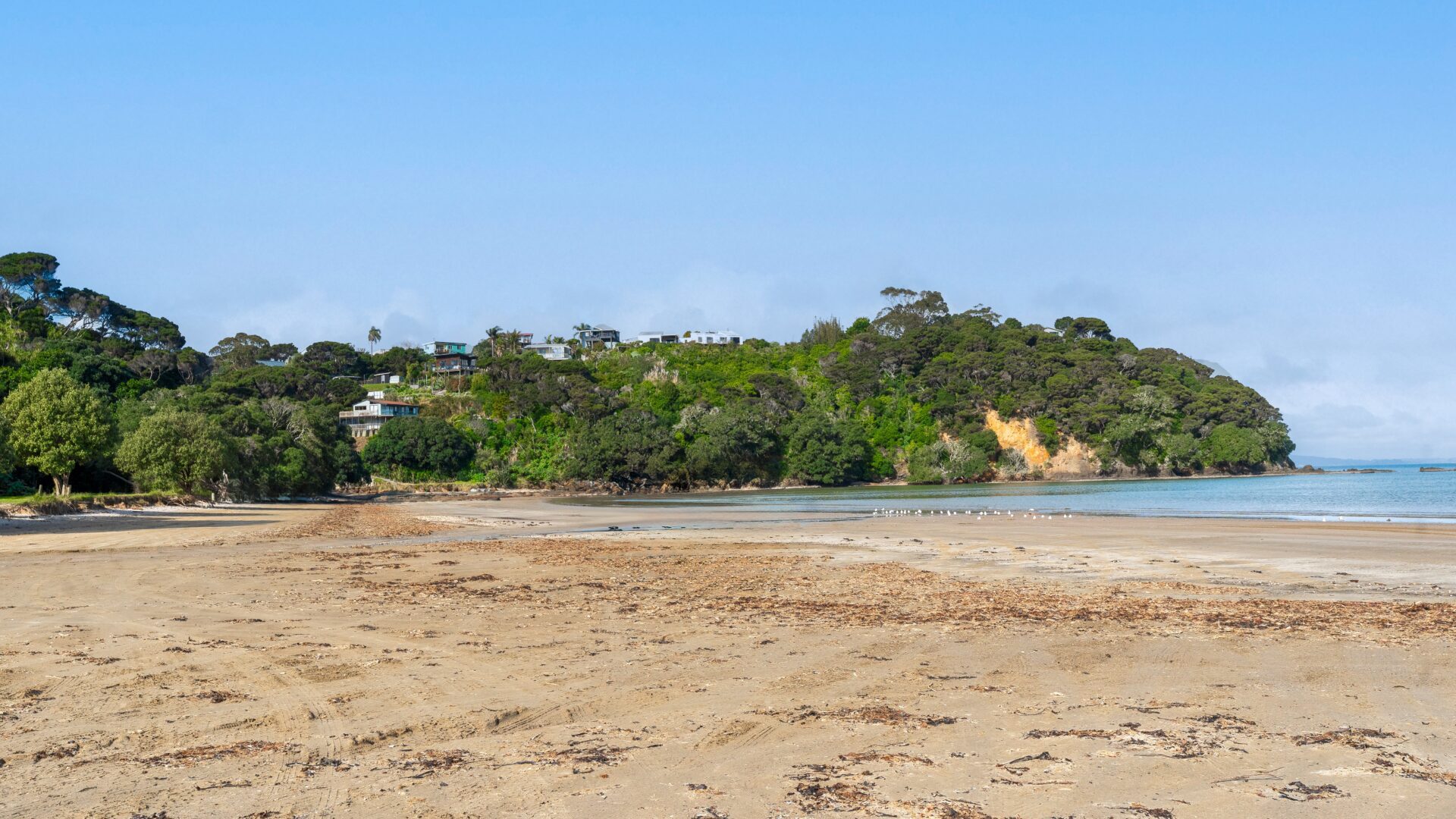 181496807__1767678642-89666-beach