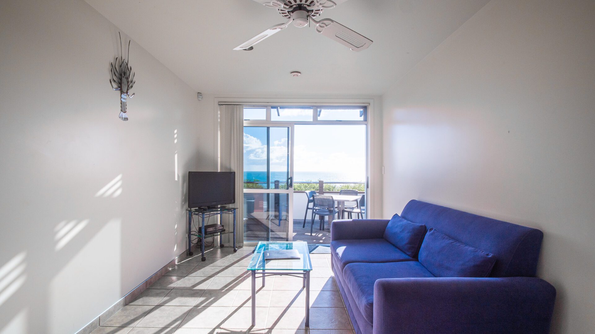 36592672__1626989999-9878-P1022109