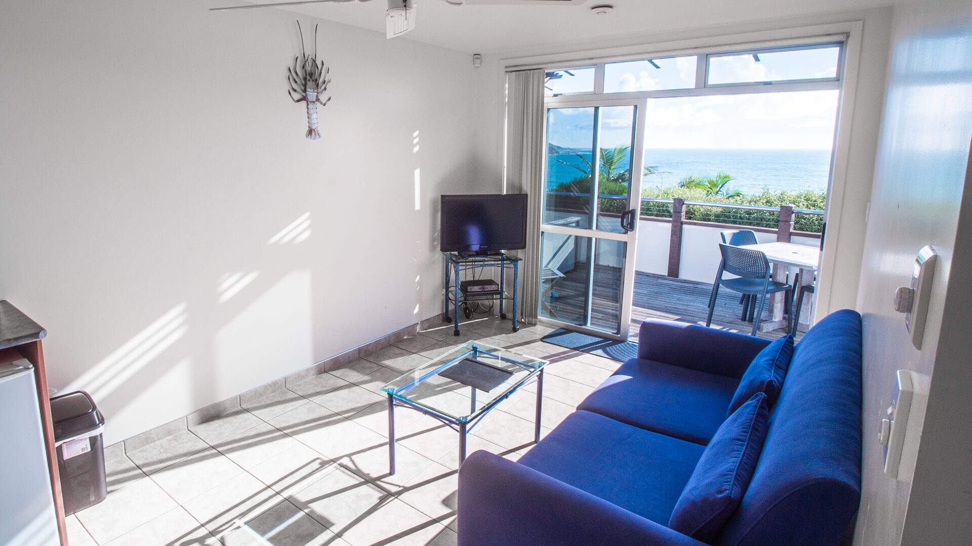 36592673__1626990001-23373-P1022112