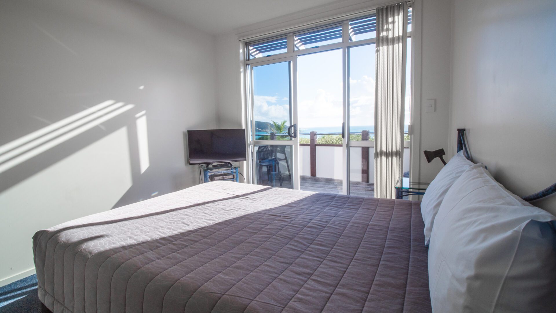 36592973__1626993077-31834-P1022116