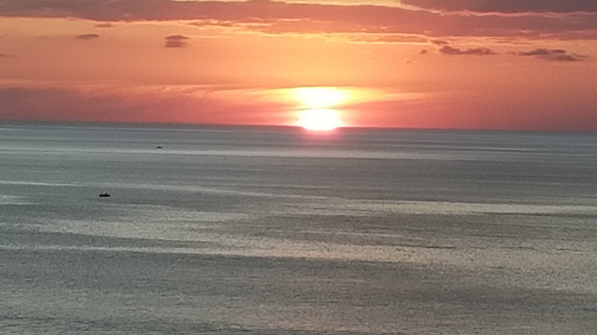 96484224__1719788390-20007-2463