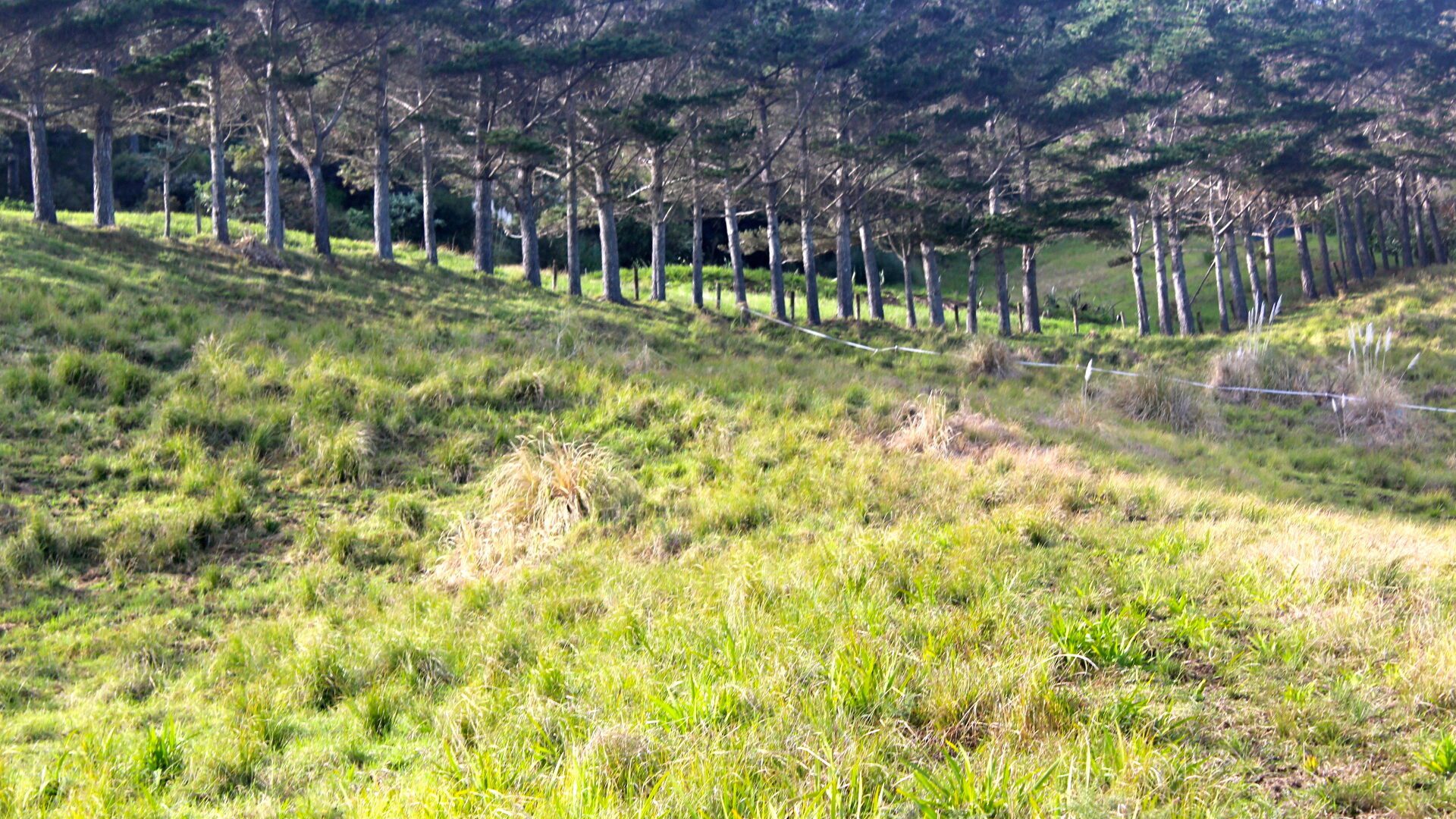 96484228__1719788394-29960-FUFM7959