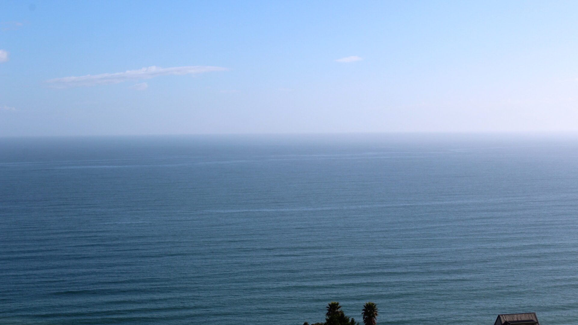 96484230__1719788395-29892-MXBO10121