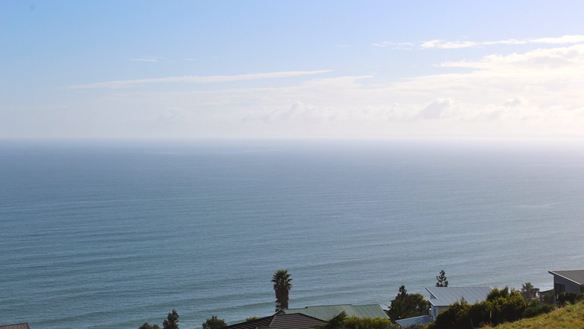 96484231__1719788397-30156-SWNZ4357