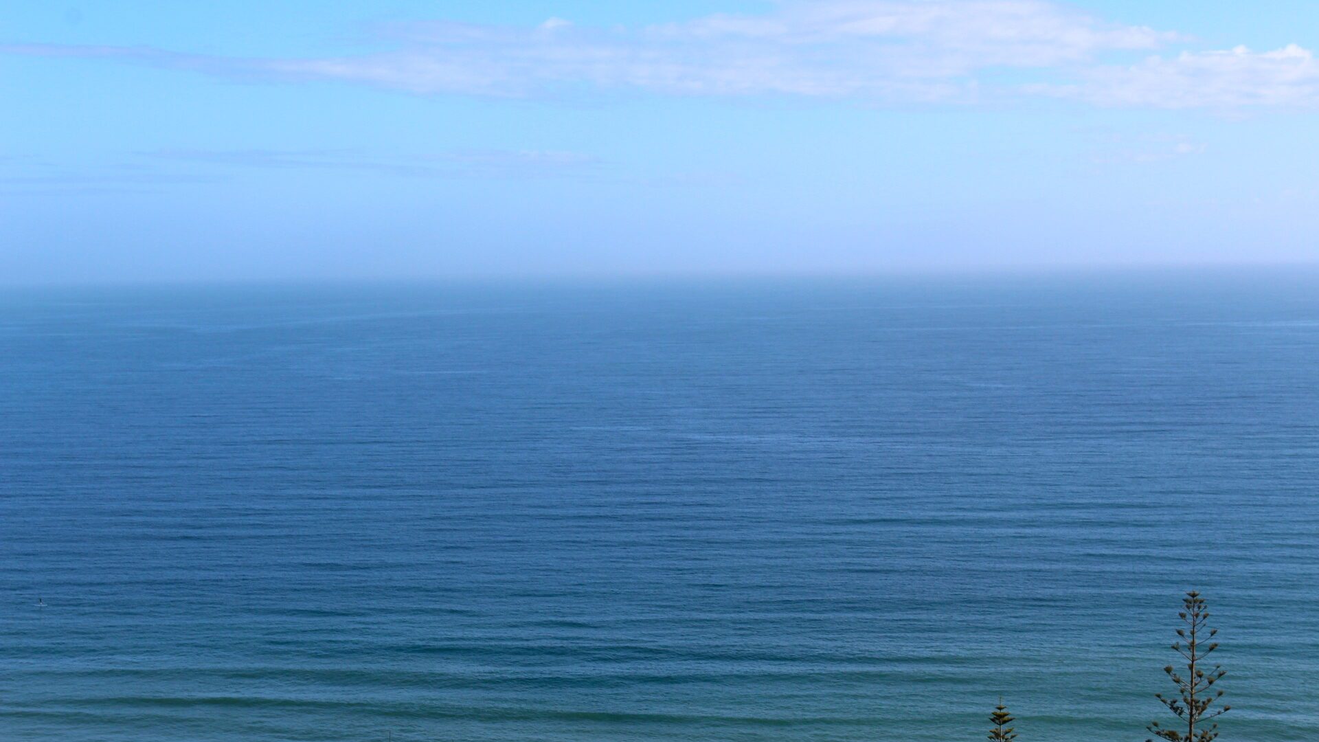 96484233__1719788398-20200-UCLU7460