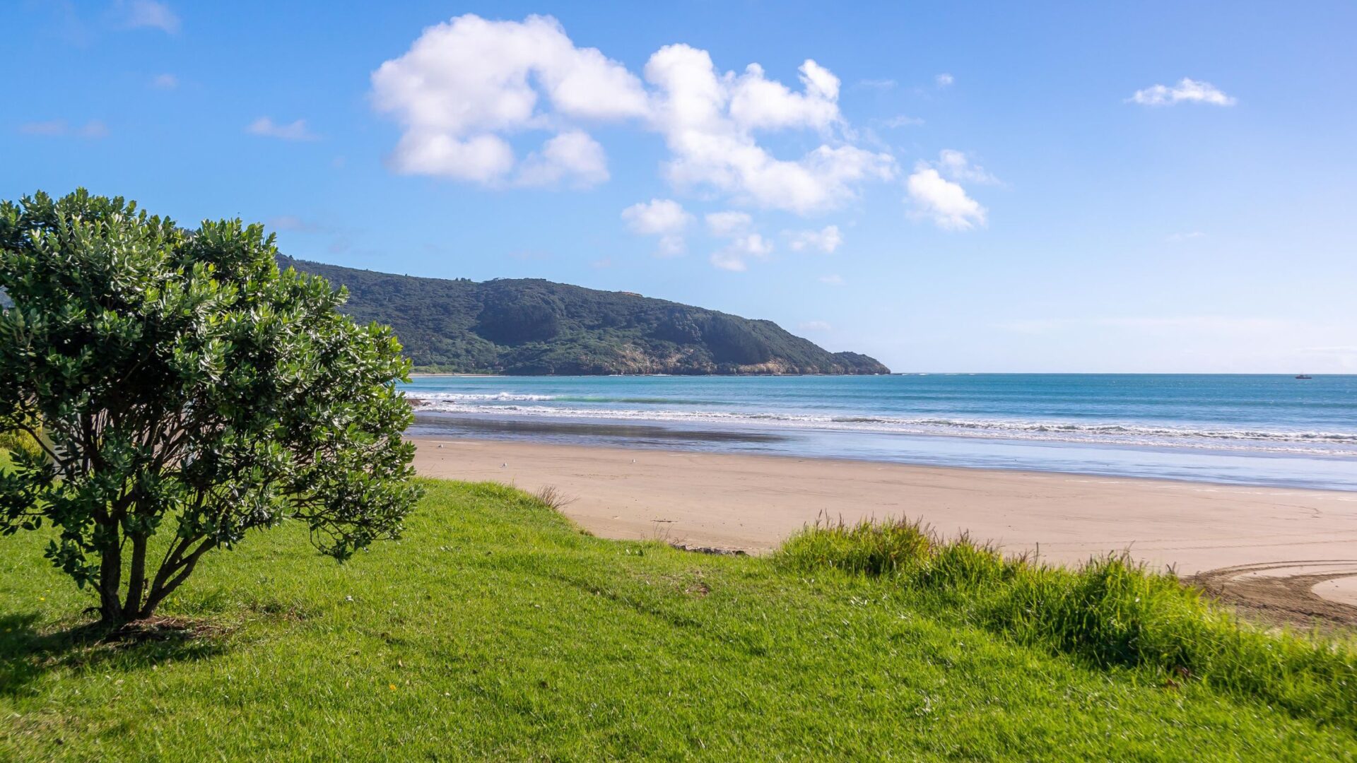 96484237__1719788401-19871-19