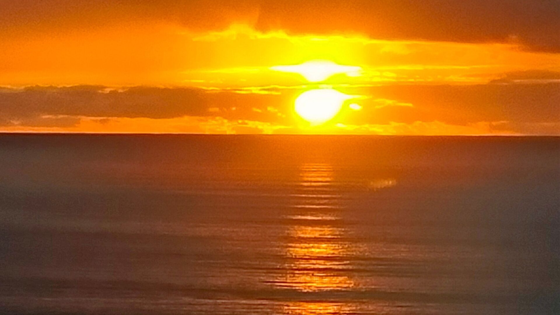 96484239__1719788403-30137-20