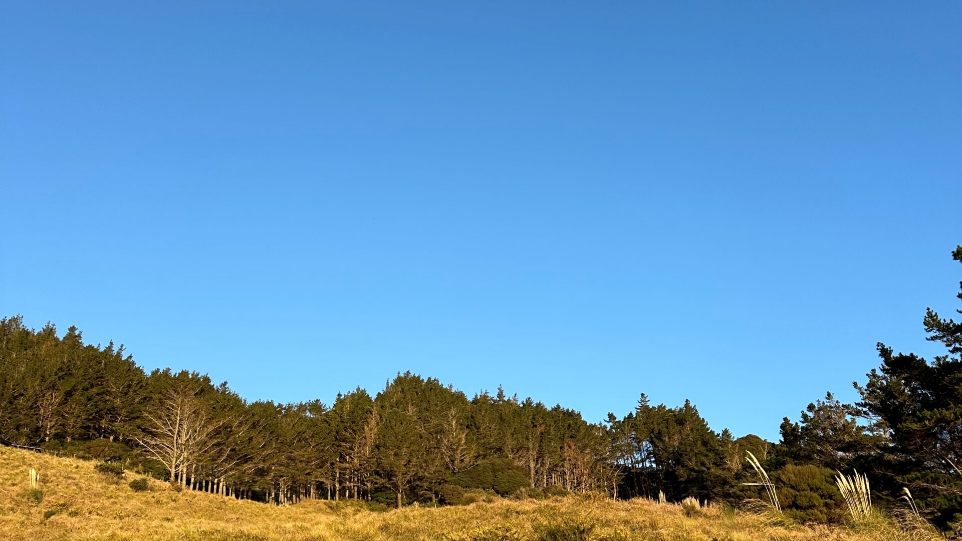 96850248__1719891835-64453-image0031