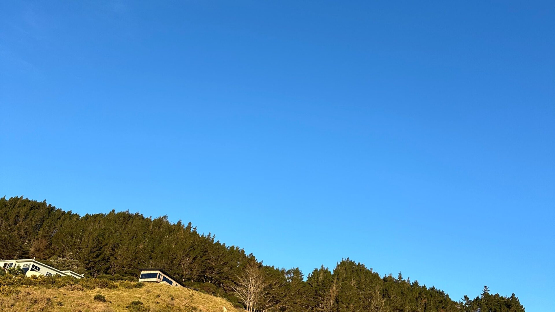 96850251__1719891837-63768-image0041