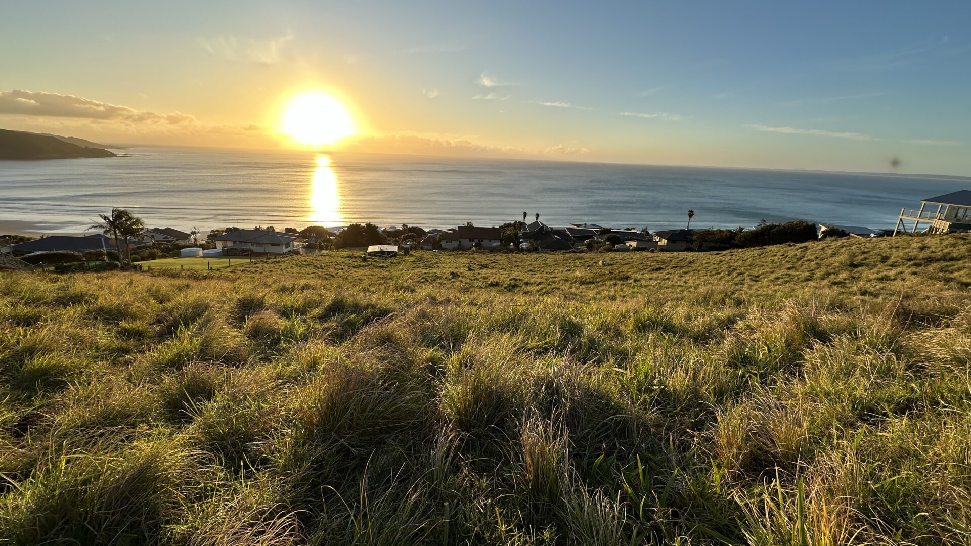 96850264__1719891845-63775-IMG48271