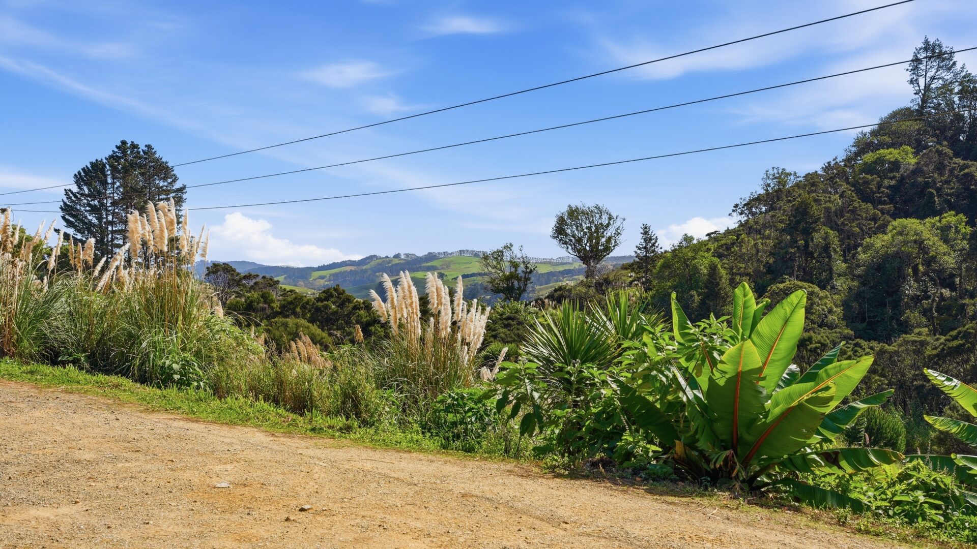 199453908__1777701492-89618-BackriverRoadMangonui002