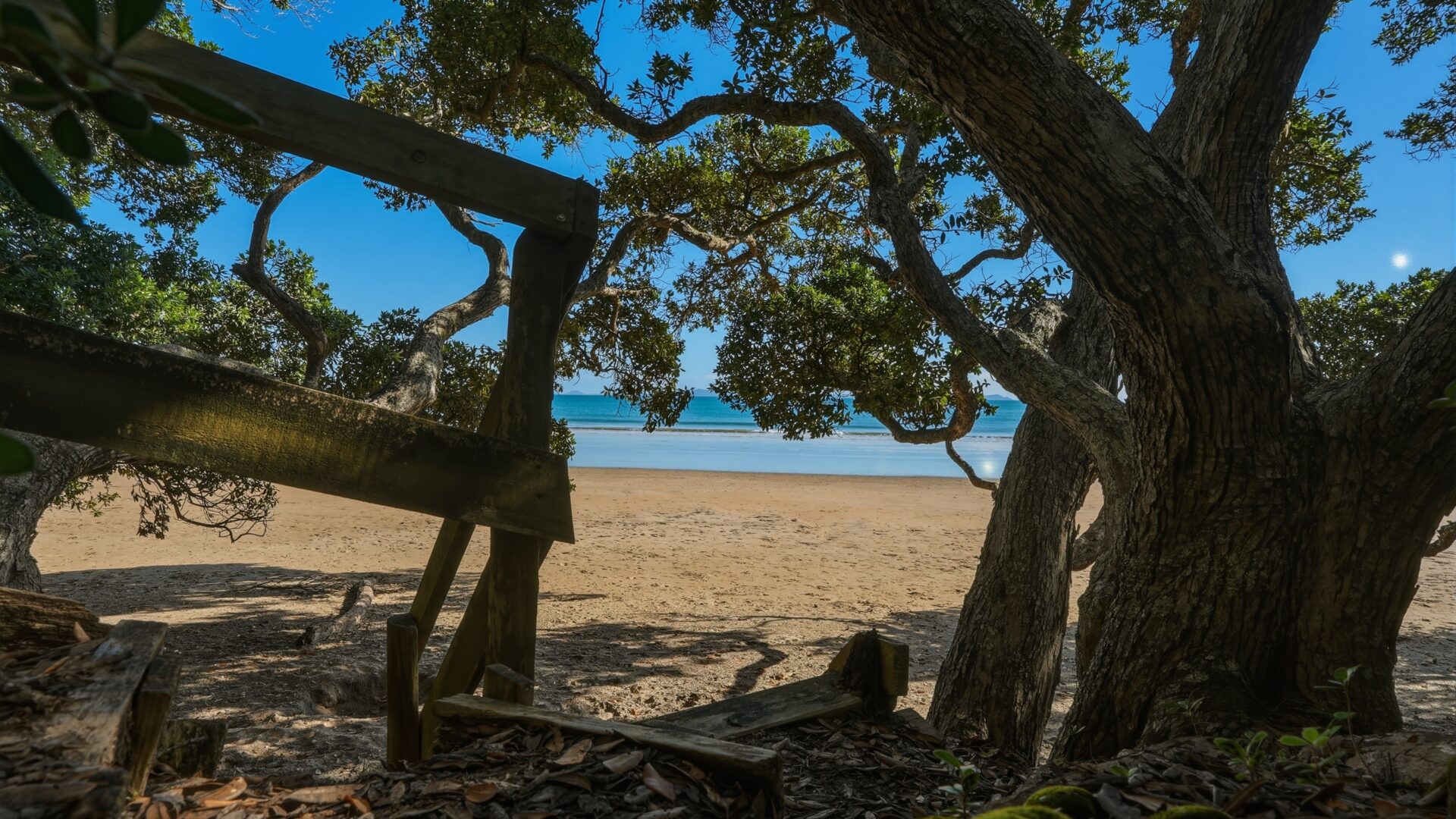 201652445__1779007825-190915-61SH10CoopersBeach-Pattersons035