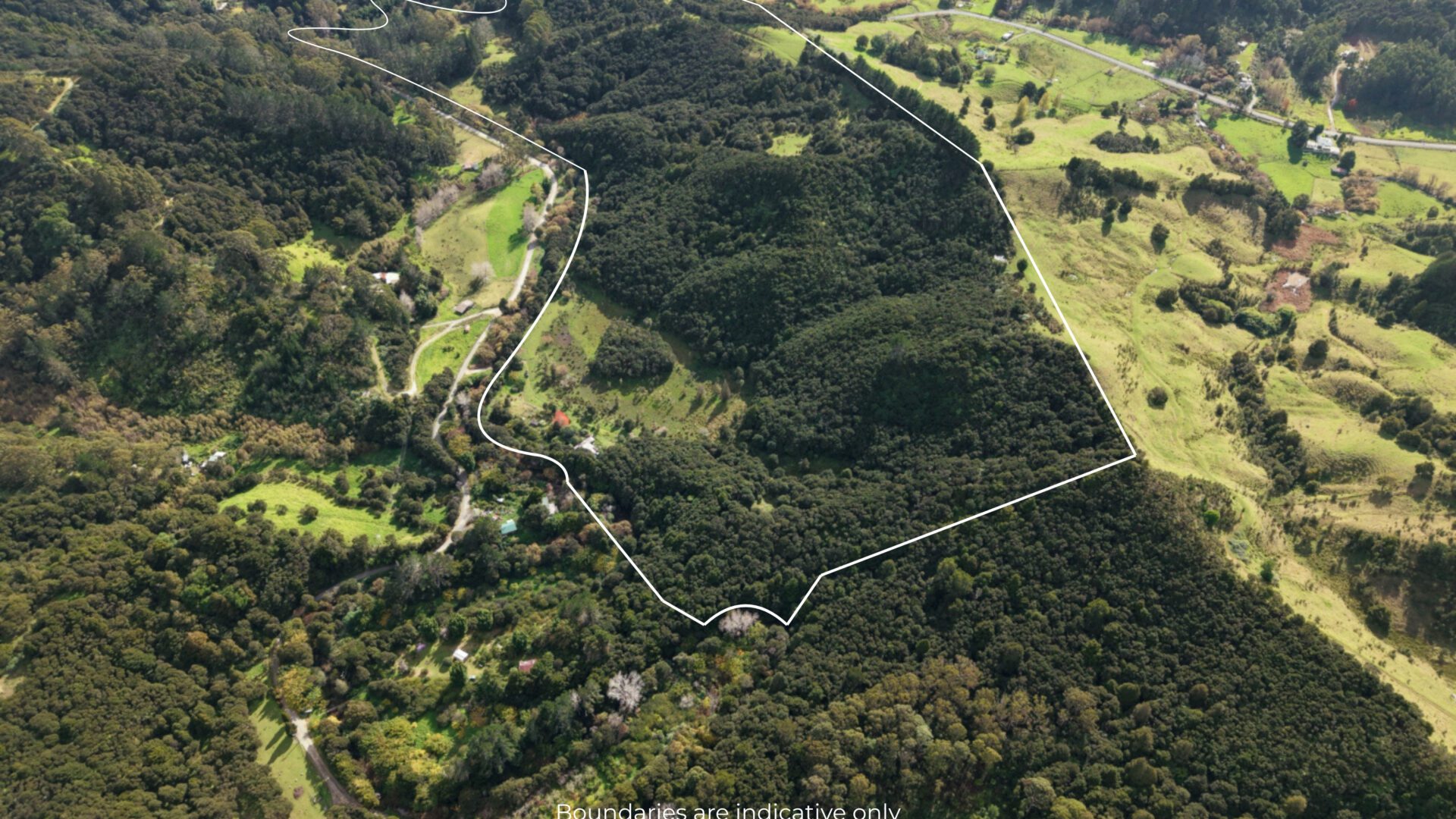 201919757__1779143220-216691-1.jpg
