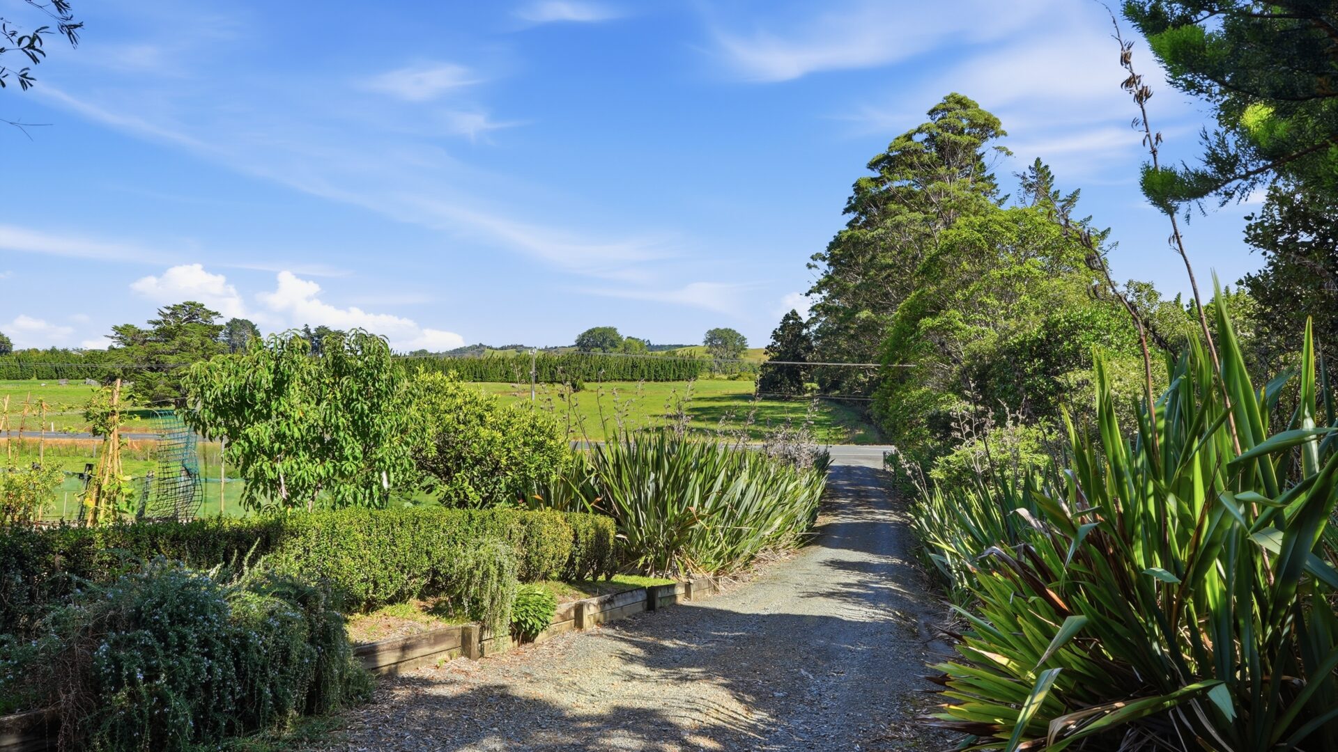 189791433__1772485606-7017-7401SH1Kaitaia029