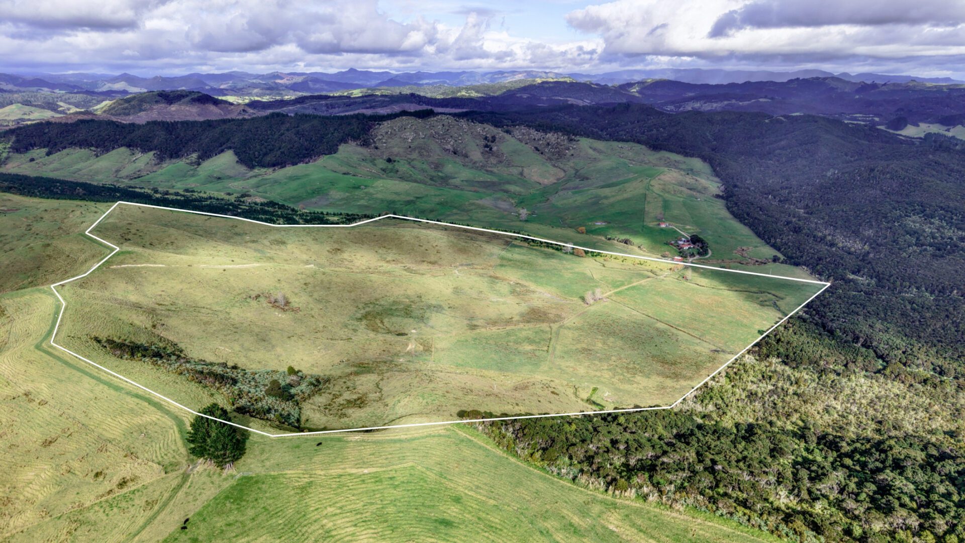 Copy of Copy of Albatross Alley - Ahipara - 1