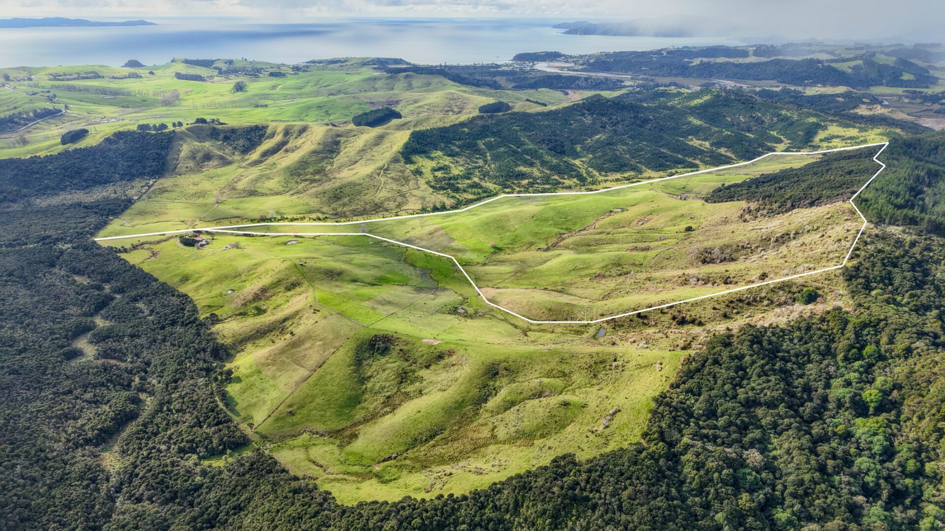 Copy of Copy of Albatross Alley - Ahipara - 6