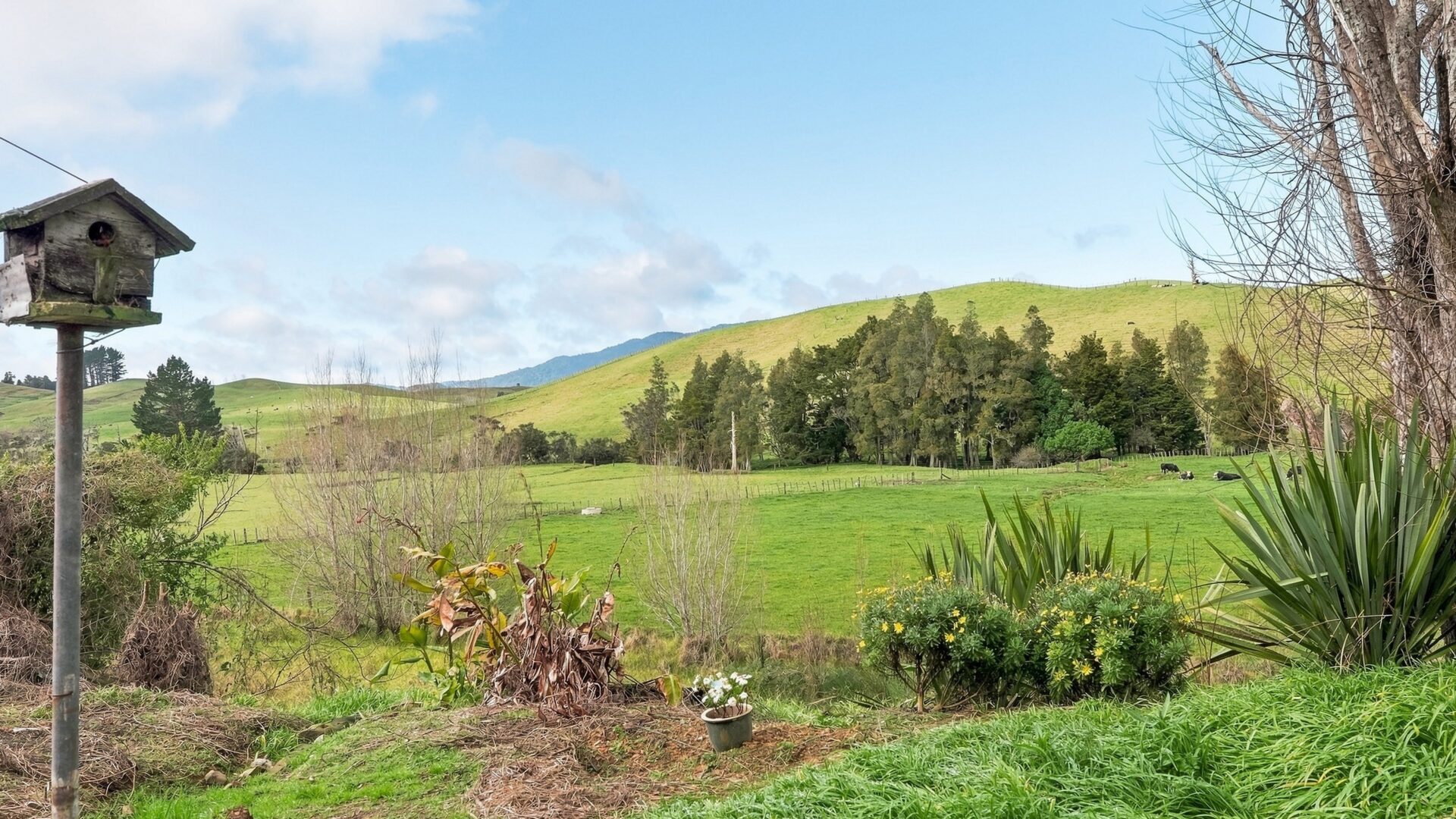 212056449__1785281234-24320-112SturmfelRoadKaitaia028