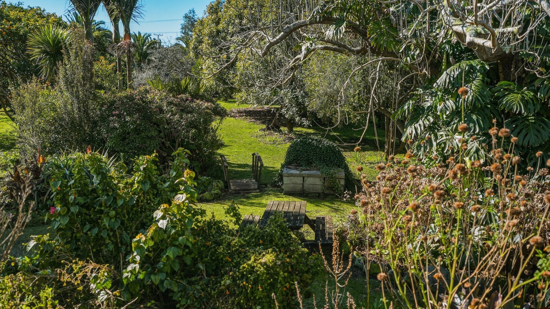 213362537__1785991524-77937-232KaimaumauRoadWaiharara027