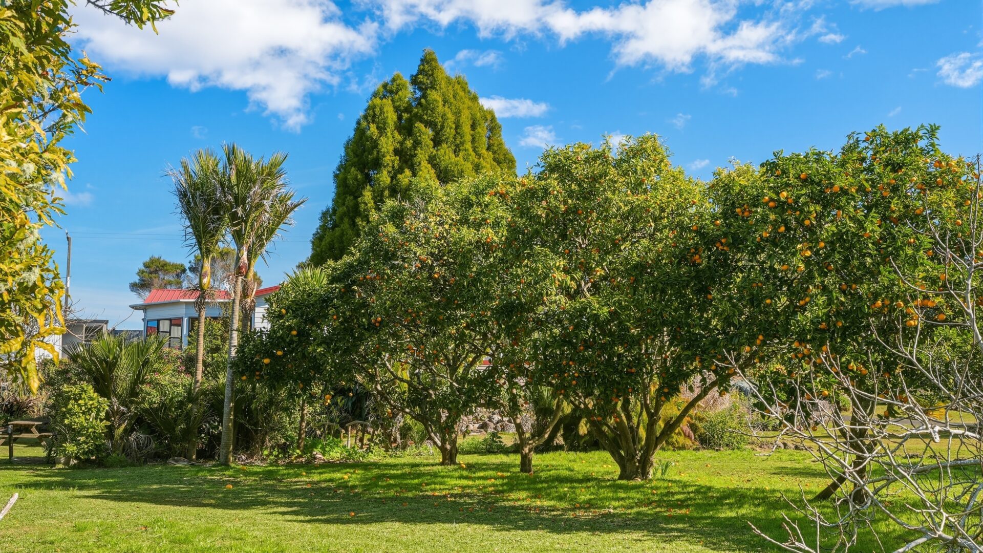 213362540__1785991528-90540-232KaimaumauRoadWaiharara029