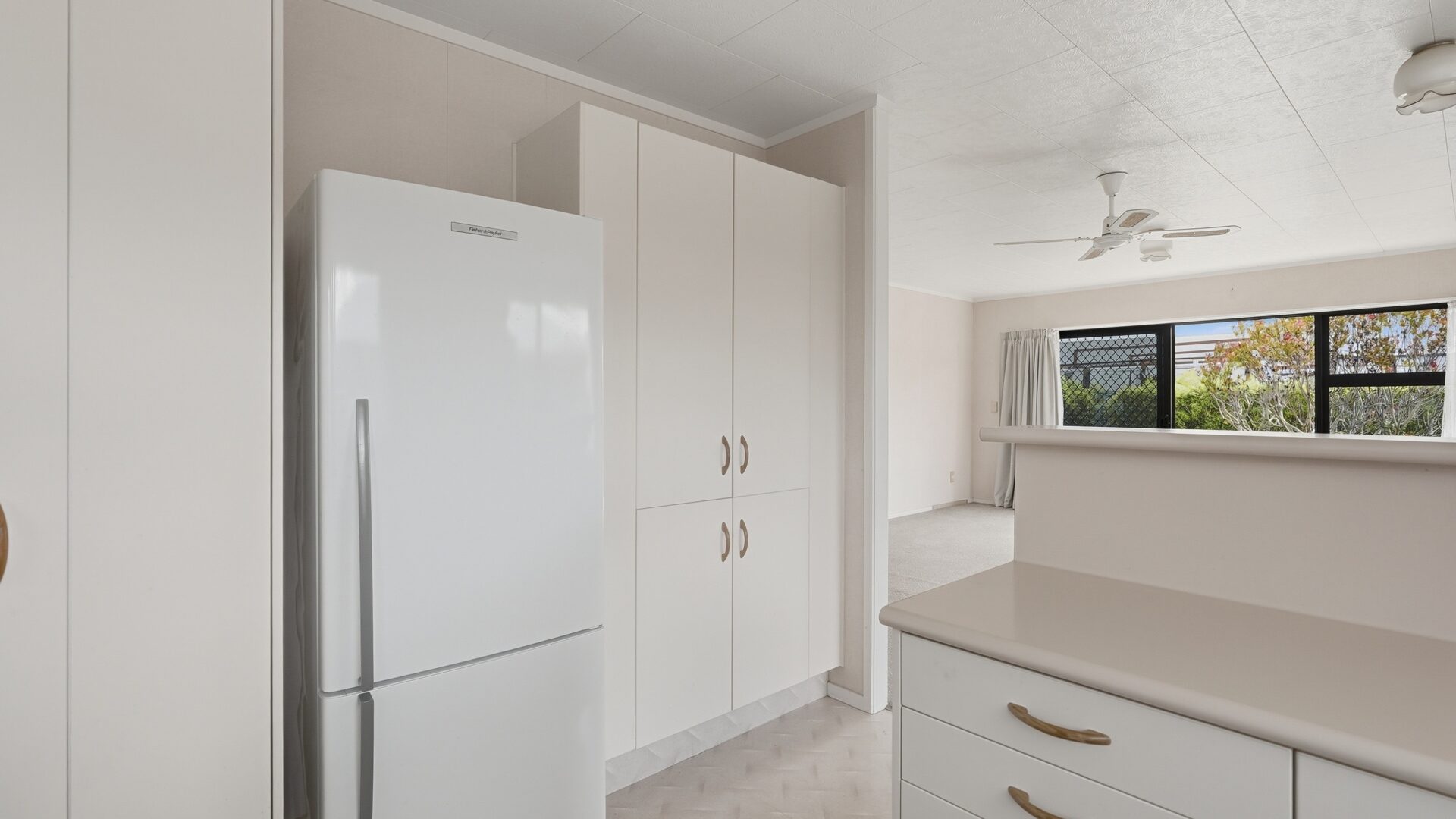 220184490__1790137483-76463-20BMatthewsAvenueKaitaia08436