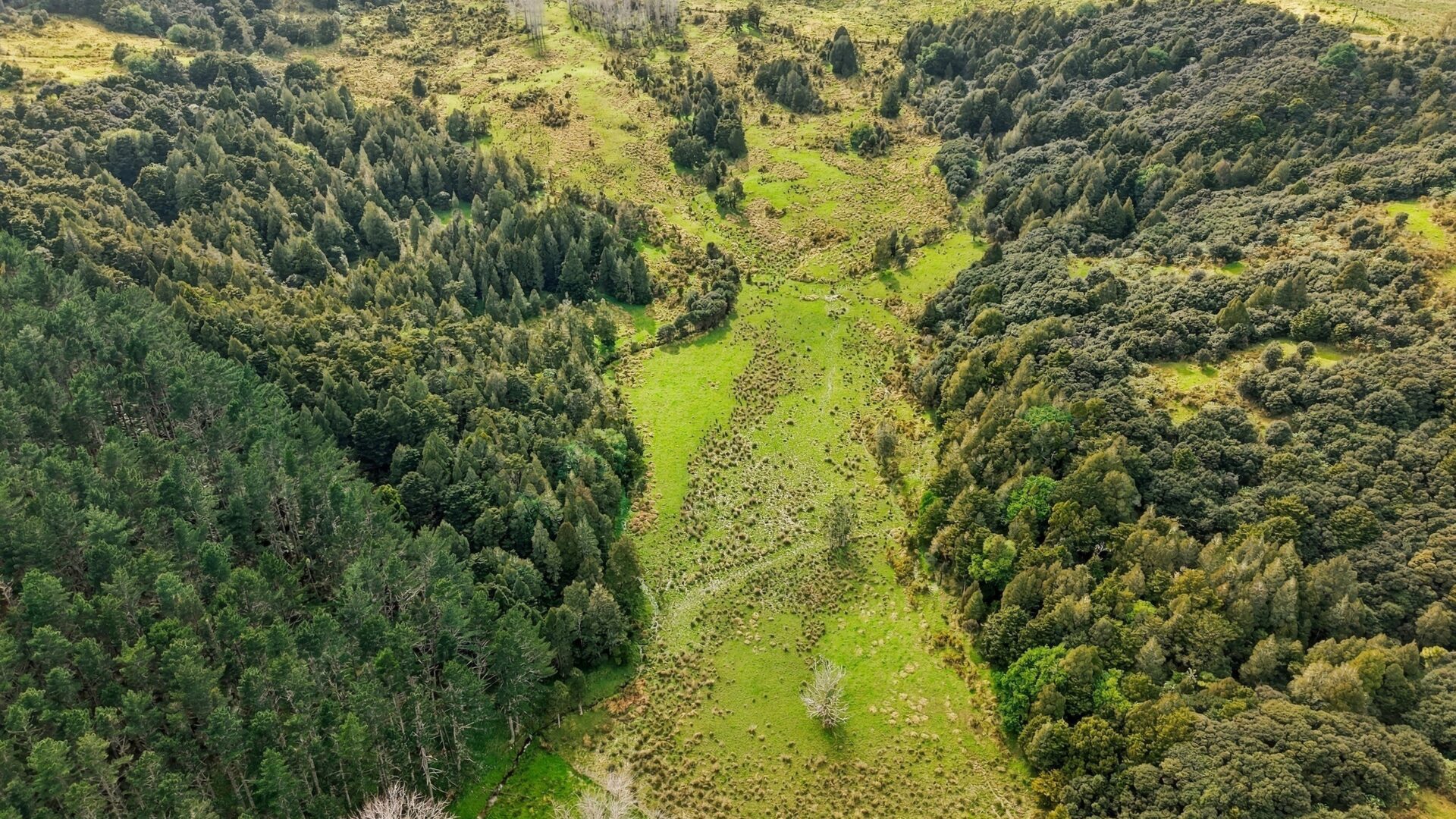 220685543__1790549819-31703-2950TwinCoastDiscoveryHighwayGlorit008