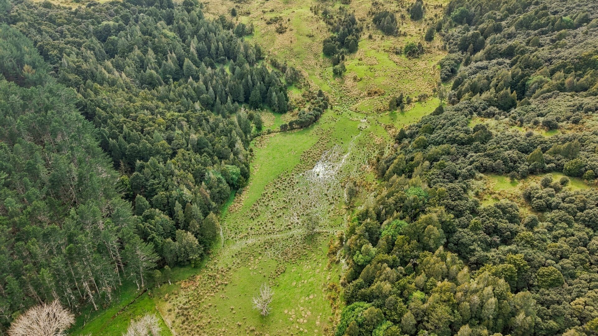 220685580__1790549825-31799-2950TwinCoastDiscoveryHighwayGlorit011