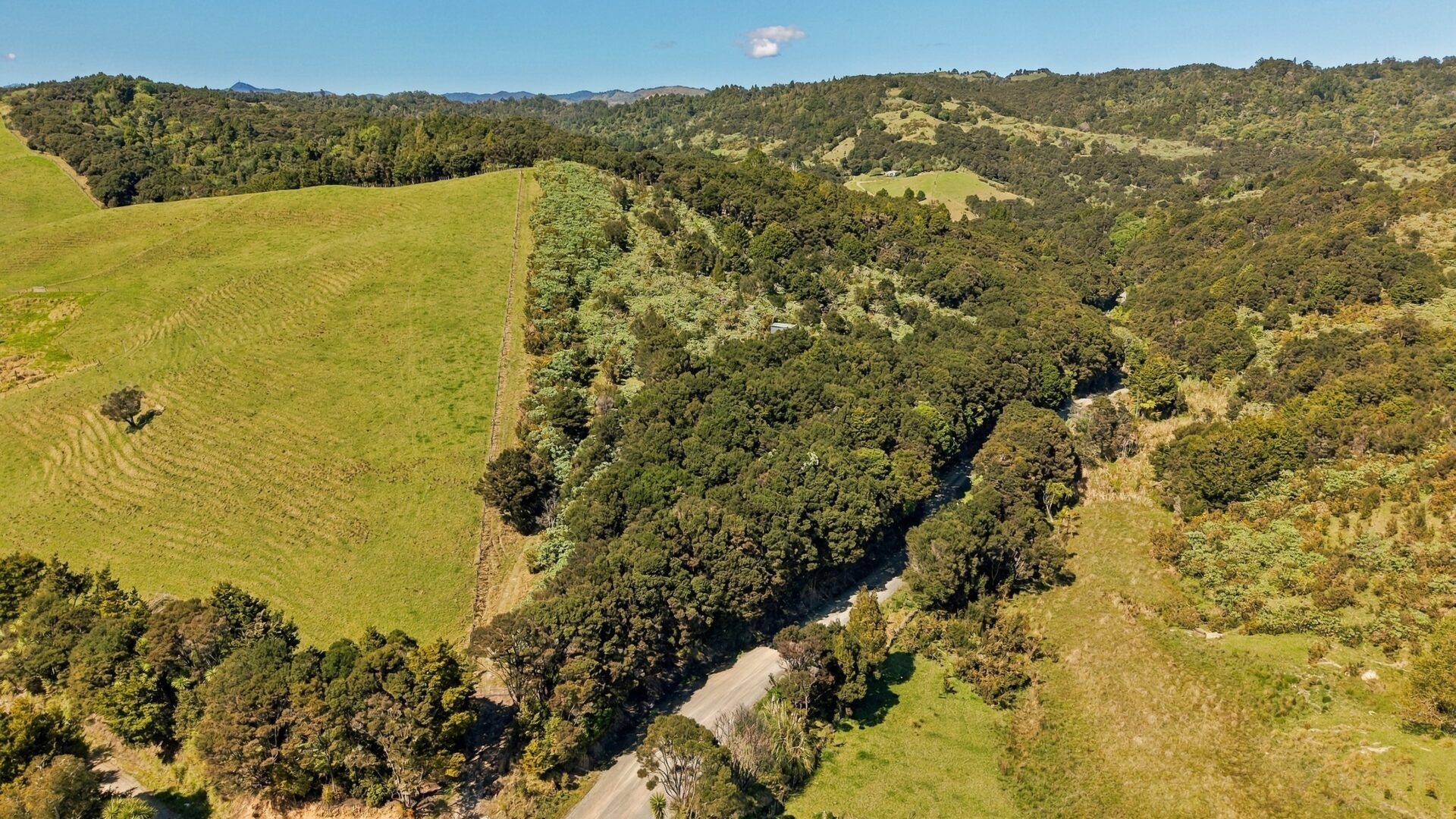 222726659__1791505245-41714-173Paranui-ToatoaRoadTaipa003